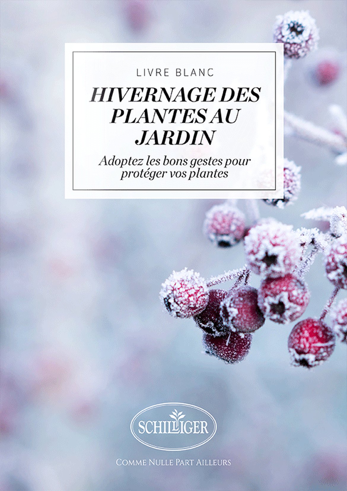 Guide pour l'hivernage des plantes